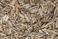 biomass boilers Cheylesmore